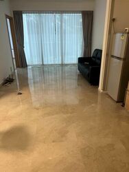 Parc Emily (D9), Condominium #593522941